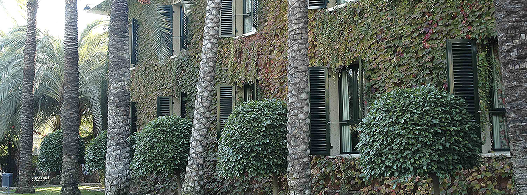 Hotel Jardín Milenio
